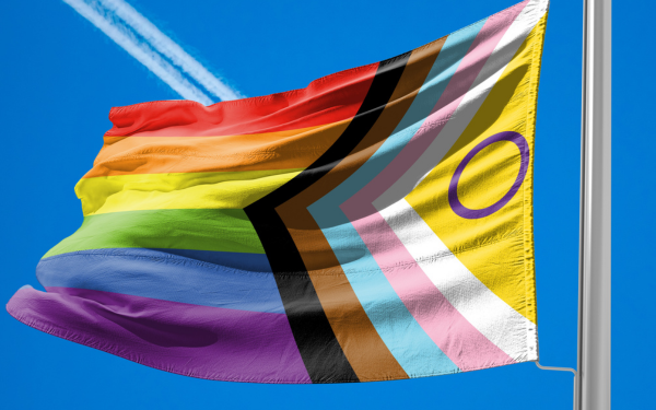Pride Month e supporto del procurement alla comunità queer